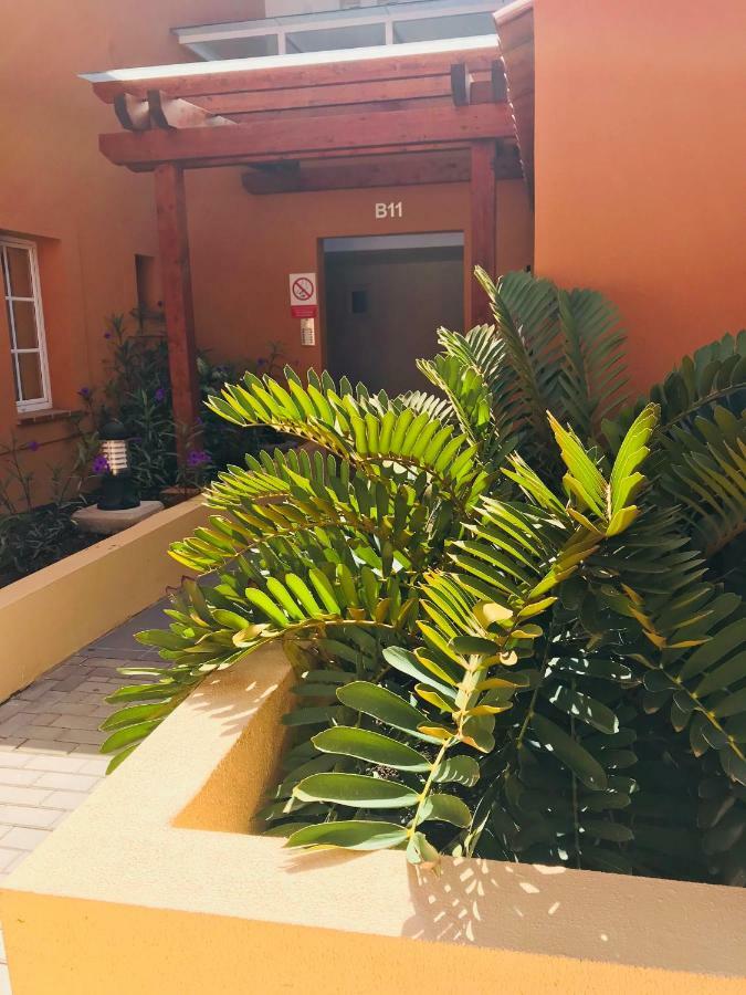 La Casa Canaria Ла-Плайя-де-Аргінегін Екстер'єр фото